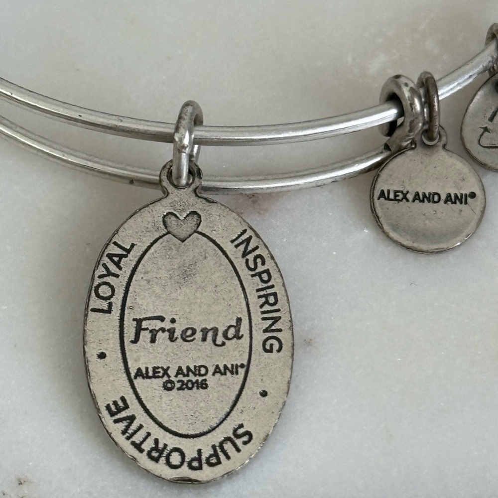 Alex and Ani 2016 “ Friend “ Friendship Silver-tone Adjustable Bangle Bracelet - Picture 6 of 7